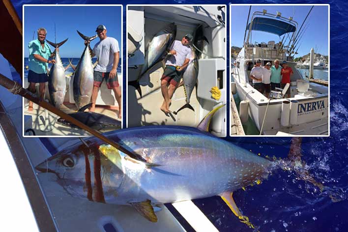 Cow tuna fishing in Cabo San Lucas